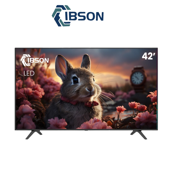 TELEVISEUR IBSON 42" LED IB42FT1002